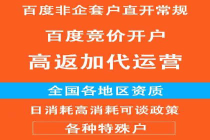 案例分析：SEM托管服务助力电商销量倍增